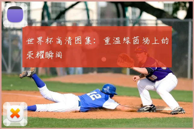 世界杯高清图集：重温绿茵场上的荣耀瞬间