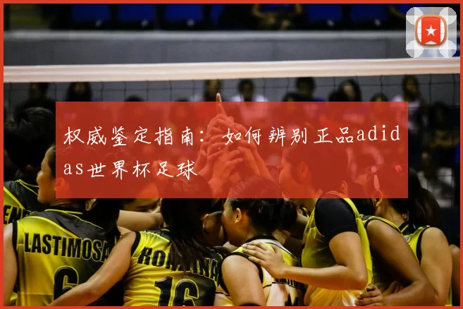 权威鉴定指南：如何辨别正品adidas世界杯足球